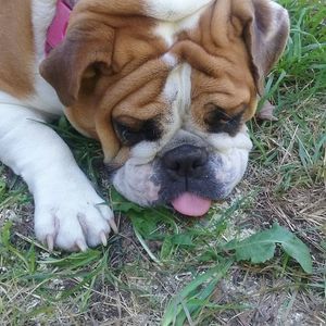 Meet your Posher, Cindy